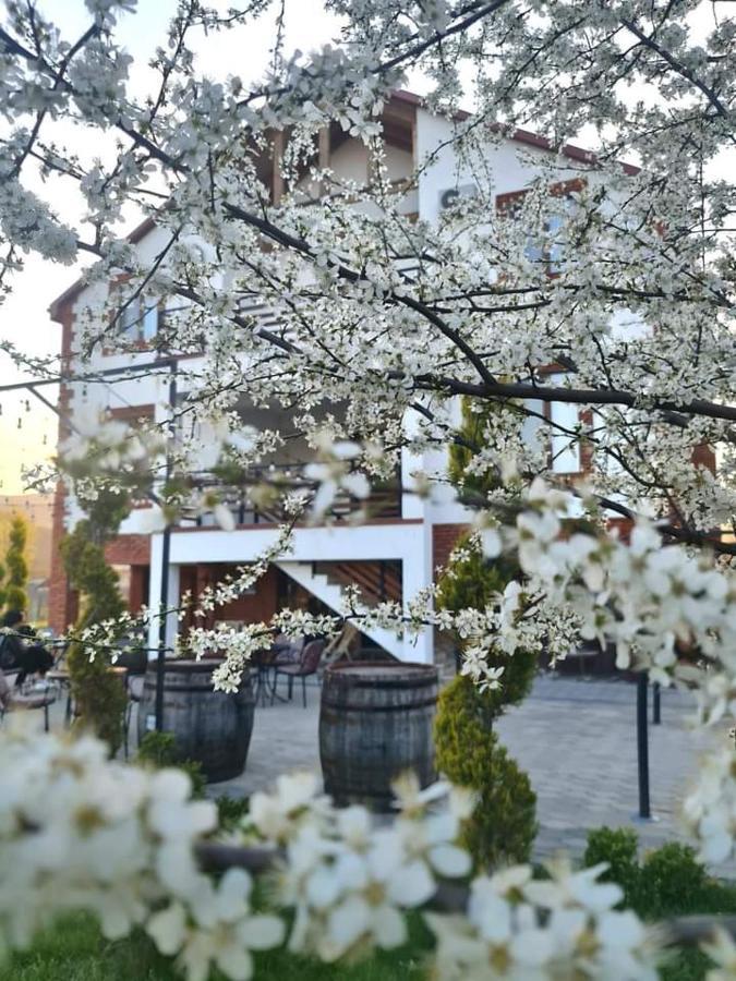 Karse Hotel Амбролаури Екстериор снимка